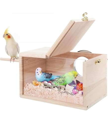 インコセキセイインコ巣箱 Amazon.co.jp: 巣箱 鳥の巣 鳥の巣箱 鳥の繁殖箱 繁殖ボックス 天然